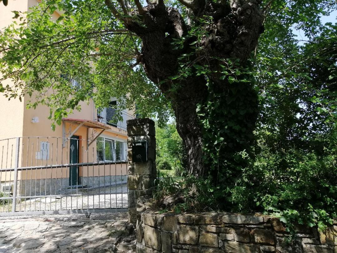 Murva Koper Zewnętrze zdjęcie